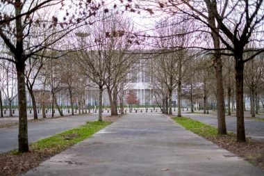 Stade Matmut Atlantique (1).